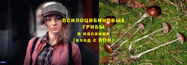 круглые Алексеевка