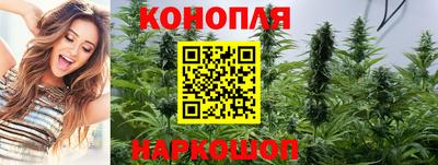Альфа ПВП Новоалтайск