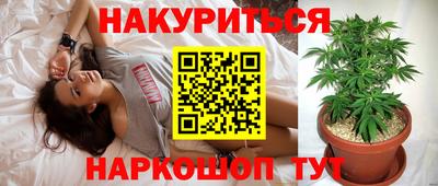 дмт Новоалександровск
