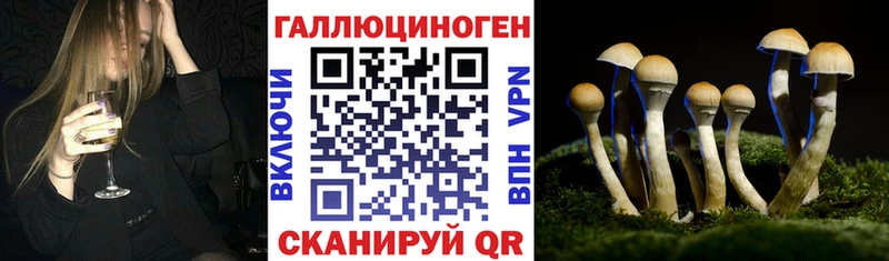 Галлюциногенные грибы MAGIC MUSHROOMS  где продают наркотики  Абакан 