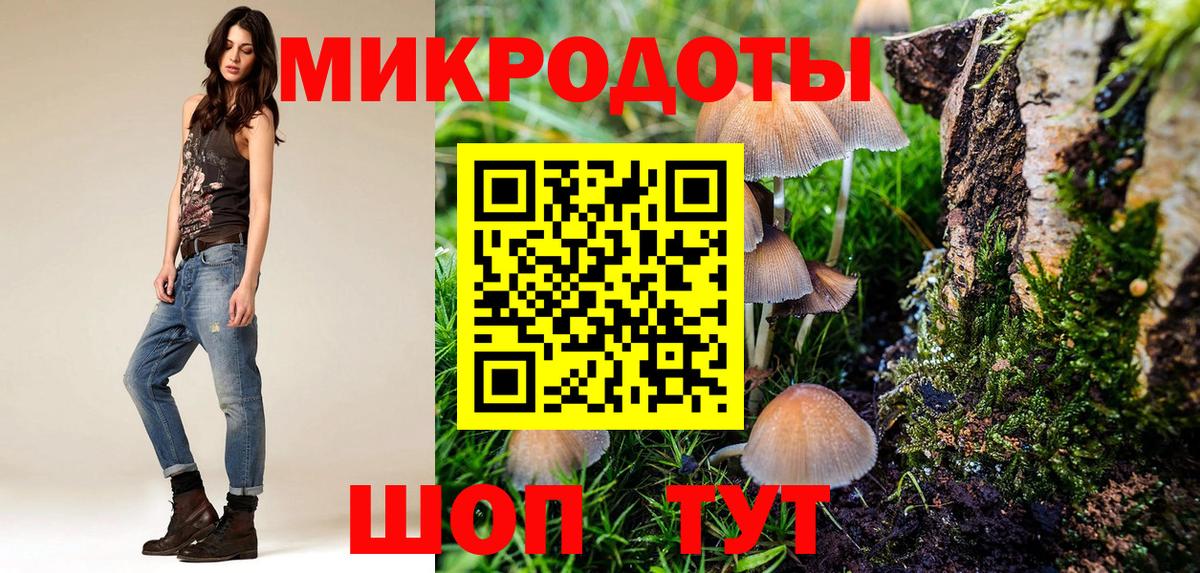 Абакан  Псилоцибиновые грибы прущие грибы  Вход с VPN 